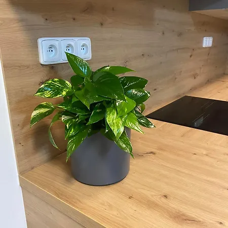 Apartmany Hodonin Hodonin